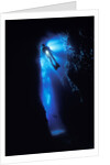 Scuba Diver in Reef Crevice by Anonymous