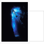 Scuba Diver in Reef Crevice by Anonymous