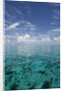 Calm Ocean Water in the Bahamas by Anonymous