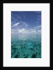 Calm Ocean Water in the Bahamas by Anonymous