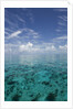 Calm Ocean Water in the Bahamas by Anonymous