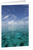Calm Ocean Water in the Bahamas by Anonymous