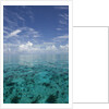 Calm Ocean Water in the Bahamas by Anonymous