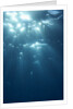 Sunbeams From Underwater by Anonymous