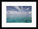 Calm Ocean Water in the Bahamas by Anonymous