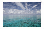 Calm Ocean Water in the Bahamas by Anonymous