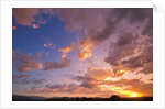 Sunset Over Willamette Valley by Anonymous