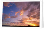 Sunset Over Willamette Valley by Anonymous