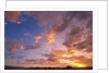 Sunset Over Willamette Valley by Anonymous