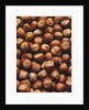 Hazelnuts in Shells by Anonymous