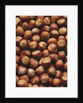 Hazelnuts in Shells by Anonymous