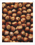 Hazelnuts in Shells by Anonymous