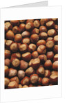 Hazelnuts in Shells by Anonymous