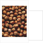 Hazelnuts in Shells by Anonymous