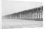 Dike with Cottonwoods in Winter by Anonymous