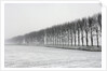 Dike with Cottonwoods in Winter by Anonymous