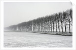 Dike with Cottonwoods in Winter by Anonymous