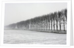 Dike with Cottonwoods in Winter by Anonymous