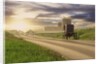 Amish Buggy on Road to Farm by Anonymous