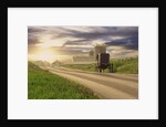Amish Buggy on Road to Farm by Anonymous