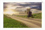 Amish Buggy on Road to Farm by Anonymous
