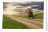 Amish Buggy on Road to Farm by Anonymous