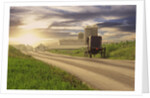 Amish Buggy on Road to Farm by Anonymous