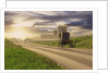 Amish Buggy on Road to Farm by Anonymous