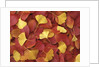 Autumnal Ginko and Dogwood Leaves by Anonymous