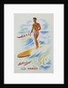 Matson Lines Hawaii Poster by Anonymous