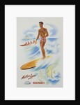 Matson Lines Hawaii Poster by Anonymous