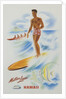 Matson Lines Hawaii Poster by Anonymous