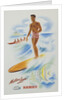 Matson Lines Hawaii Poster by Anonymous