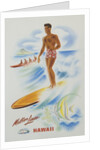 Matson Lines Hawaii Poster by Anonymous