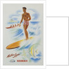 Matson Lines Hawaii Poster by Anonymous