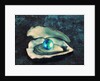 Globe in Oyster by Anonymous
