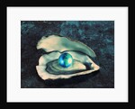 Globe in Oyster by Anonymous