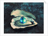 Globe in Oyster by Anonymous