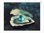 Globe in Oyster by Anonymous