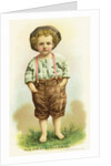 His First Suspenders Trade Card by Anonymous