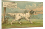 W.J. & F. Quennell Trade Card with an English Setter by Anonymous