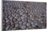 Cobblestones by Anonymous