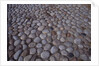 Cobblestones by Anonymous
