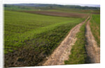 Dirt Road in Farmland by Anonymous