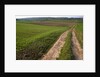 Dirt Road in Farmland by Anonymous