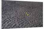 Patterned Cobblestones and Leaves by Anonymous
