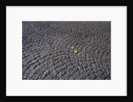 Patterned Cobblestones and Leaves by Anonymous