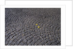 Patterned Cobblestones and Leaves by Anonymous