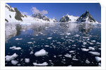 Ferguson Channel with Floating Bergy Bits in Summer by Anonymous