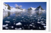 Ferguson Channel with Floating Bergy Bits in Summer by Anonymous